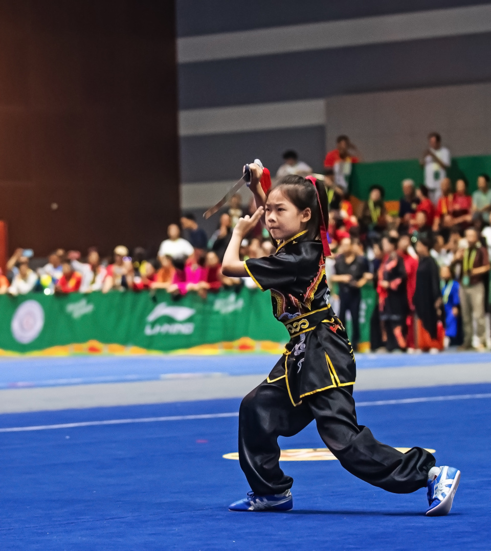 的知名影星, 剑比赛中, 在互联网上 的知名影星, 剑比赛中, 在互联网上